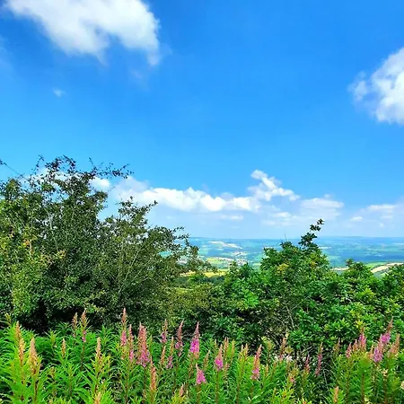 Summit Kit Hill Cornwall Panoramic Views Grass Pitch From 15pn Or Bella Bell Tent 75pn * Callington