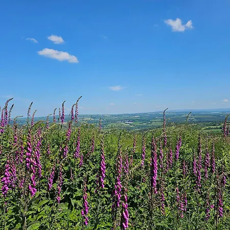 Summit Kit Hill Cornwall Panoramic Views Grass Pitch From 15pn Or Bella Bell Tent 75pn * Callington